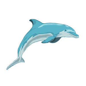 蓝色海豚跳跃照片