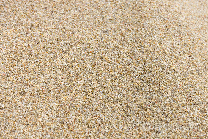 沙滩上的沙子在阳光下干涸