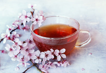 樱花茶图片