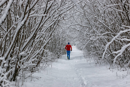 冬天雪体育人跑在树公园