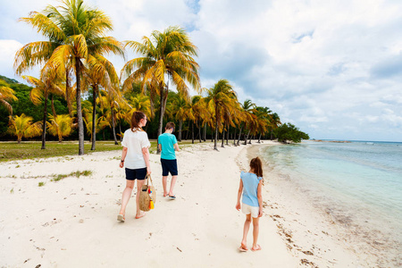 在圣文森特和格林纳丁斯缪斯汀岛享受热带海滩度假的母亲和孩子们