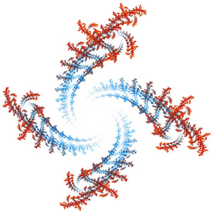 创意设计的抽象的分形图