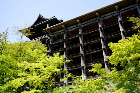 在日本京都清水寺图片