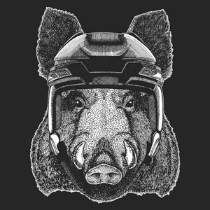 Aper, 野猪, 猪, 野猪, 穿着曲棍球头盔的野生动物。t恤衫设计印刷