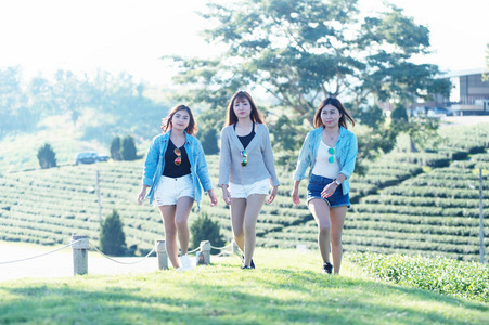 行走在泰国清莱 chuifong 茶花园的绿色草地上的三个亚洲女人