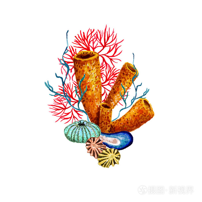 水彩海绵珊瑚插画-正版商用图片0q54xn-摄图新视界