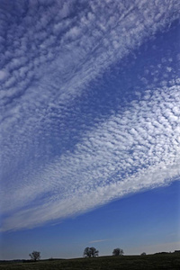 蓬松的云彩或 cirrocumulus 的云彩