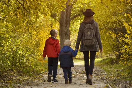 妈妈和两个儿子在秋天的森林里散步。后退视图