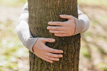 拥抱树图片