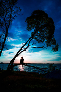 日落时坐在树上的一位年轻女子的剪影。蓝色魔法幻想
