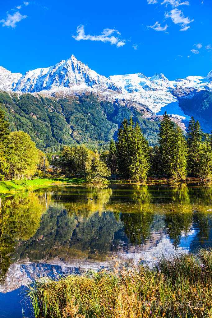 在法国阿尔卑斯山美妙的阳光明媚的秋天天尼克市公园由