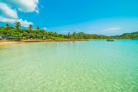 美丽的热带海滩和海与椰子棕榈树在天堂海岛为旅行和假期