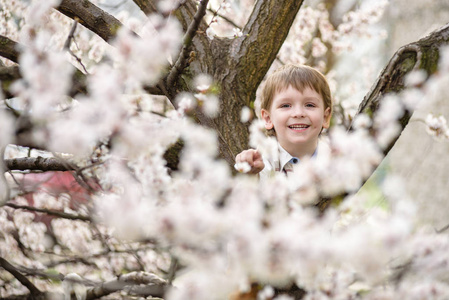 幼儿男孩在附近树上的春天