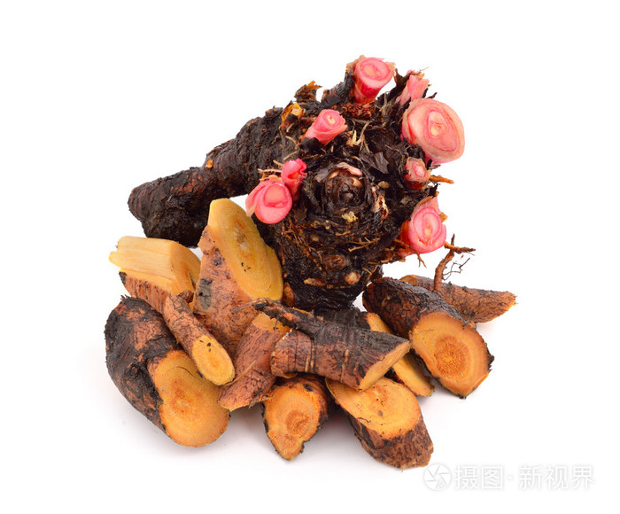 大黄的根状茎和根