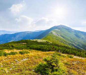 在闪耀的阳光下绿山风景