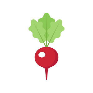 红萝卜矢量插画照片