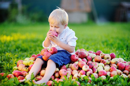 可爱的男孩，坐在堆的苹果和吃熟透的苹果