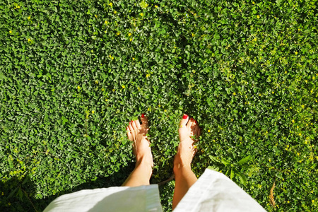 草剃京关闭赤脚年轻女子 w/清洁剃光脚站在多汁的绿色草坪上.