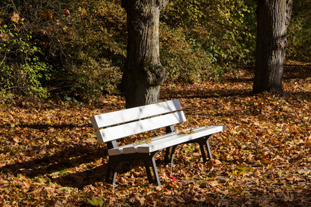 坐在秋天公园长椅