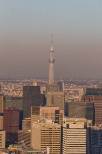 日本东京城市天际线景观