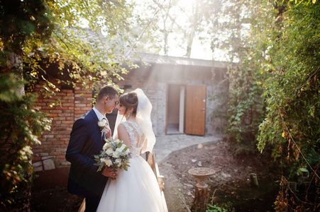 新婚夫妇亲吻在森林的 delapidated 乡村房子