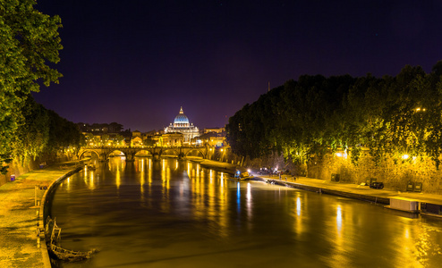 在罗马的台伯河的夜景