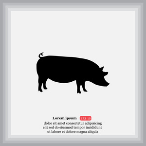 猪，猪肉图标