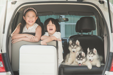 博美犬狗可爱的宠物在车里悲伤的狗哈士奇犬坐在车里看着窗外山上有