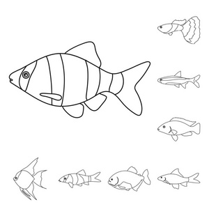 不同类型的鱼轮廓图标集合中的设计。海洋和水族鱼矢量符号股票网页插图