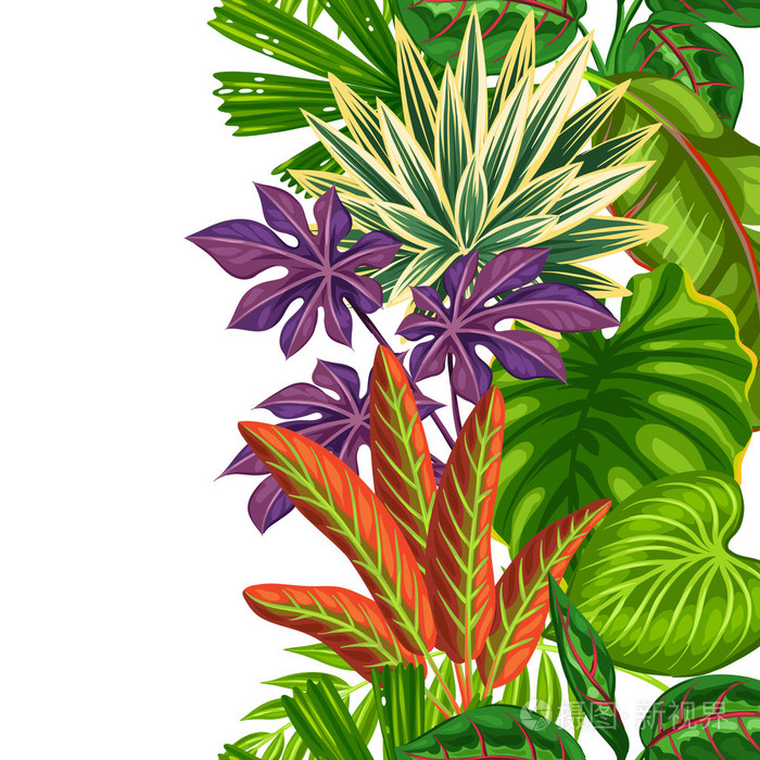 与热带植物和叶子无缝垂直边界. 回来