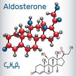 醛固酮 类固醇激素结构化学公式和分子模型。矢量插图
