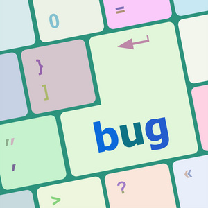 Bug 的关键的电脑键盘。业务概念矢量图