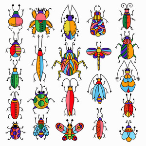 色彩鲜艳的昆虫组