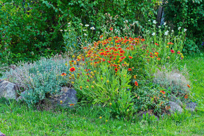 红色花束和菊花花装饰在公园的绿色草坪上的石头花床