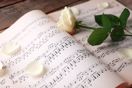 美丽的玫瑰，在音乐床单上