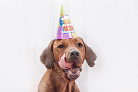 生日鸡蛋配图图片