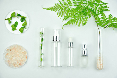 化妆品瓶容器用绿色草本叶 空白标签包品牌模拟