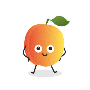 夏天的水果.向量桃与点.可爱的卡通人物照片