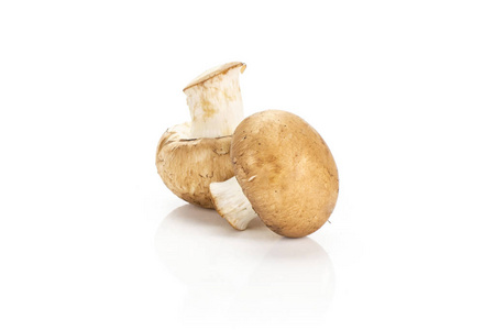 鲜棕色 champignons 在白色背景上分离两个生蘑菇