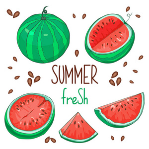 西瓜集一整片水果切片.矢量插画, 卡通画和手绘风格照片
