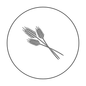 捆绑的小麦在白色背景上孤立的大纲样式的图标。加拿大的感恩节符号股票矢量图