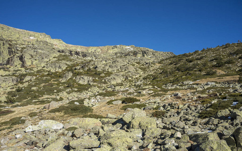 垫灌木 刺柏亚种阿尔宾娜和 Cytisus oromediterraneus 在 Rascafria 的自治市, 在 de 