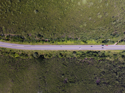 在雨林中的农村公路