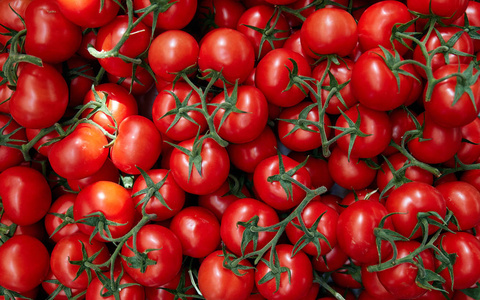 美丽的西红柿巴库西红柿