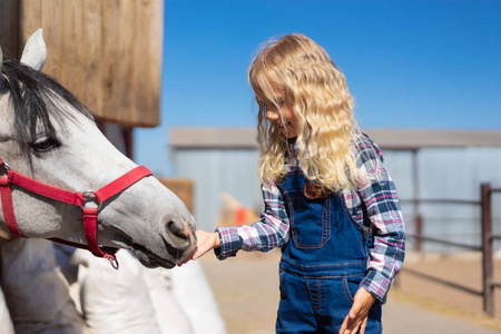 儿童喂养白马在农场的侧面视图
