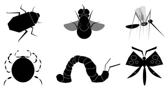 黑色昆虫的图像。其中有一只甲虫一只苍蝇一只蚊子一只毛毛虫一只螨和一只蝴蝶。