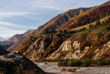 迷人的自然和秋天的风景, 许多绿叶和岩石