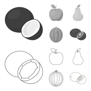 椰子, 苹果, 梨, 西瓜。水果集合图标的轮廓, 单色风格矢量符号股票插画网站