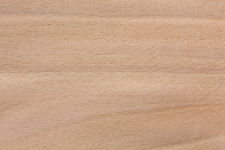 高冷可爱壁纸山毛榉木贴面纹理在可爱的光色调.高分辨率照片照片