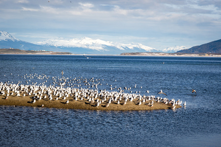 renalarterystenoses肾动脉狭窄城市城镇沙特阿拉伯国家的阿拉伯半岛